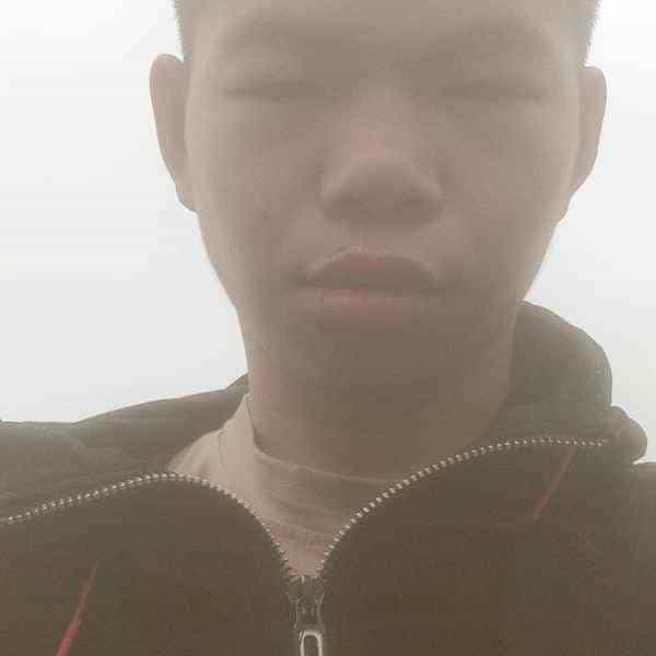 摩域娱乐官方标准数据总线与企业商务管理系统图片